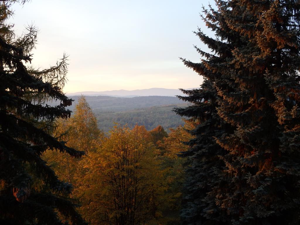 Lesny Ogrod Villa Lanckorona Buitenkant foto